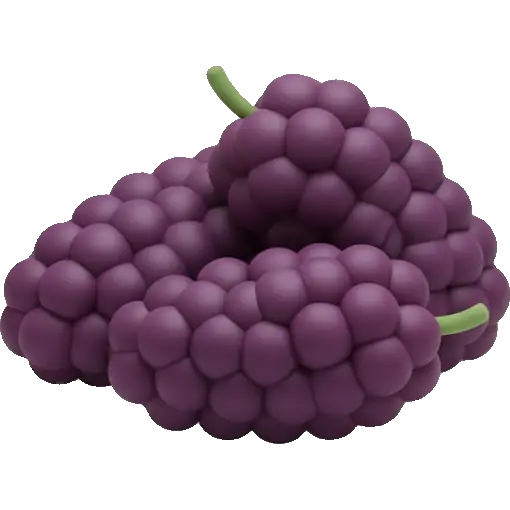 mulberry