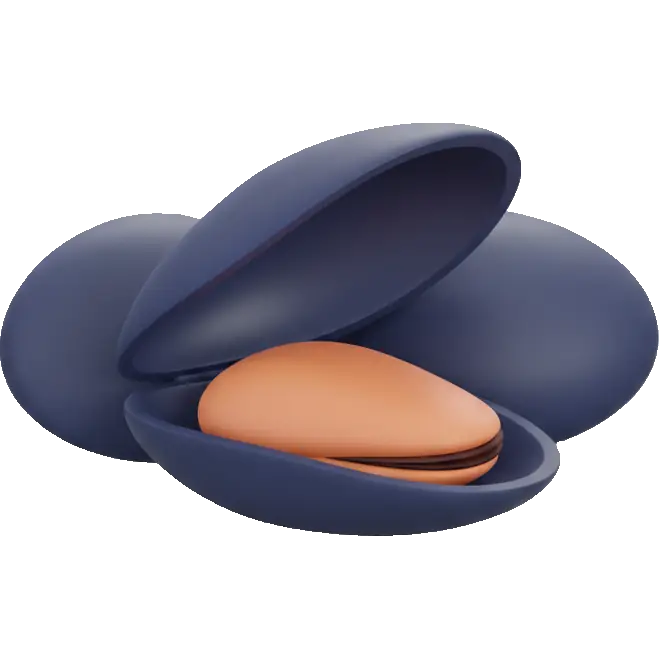 mussels