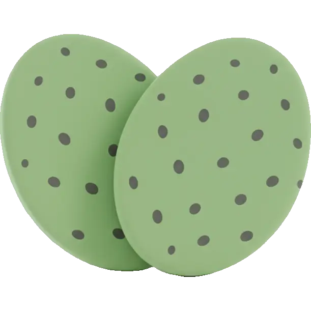 nopal