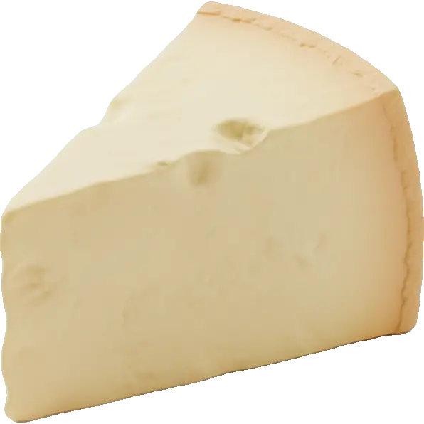 parmesan cheese
