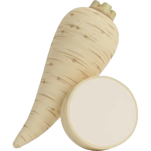 parsley root