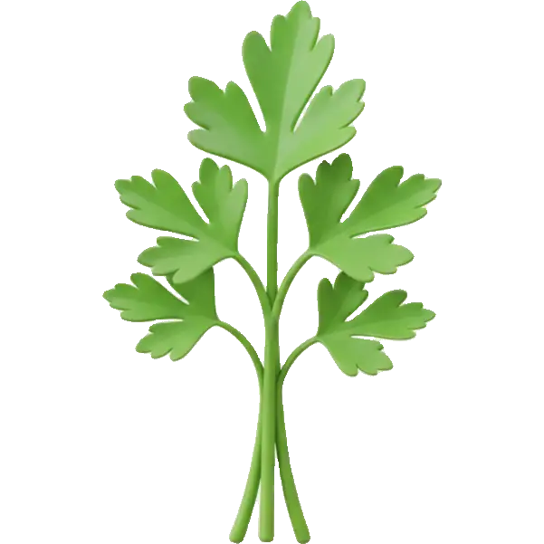 parsley