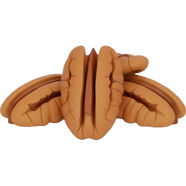pecans