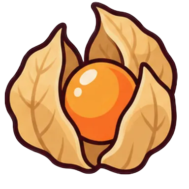 physalis