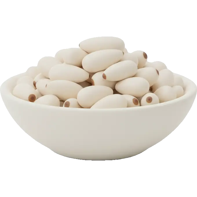pine nut