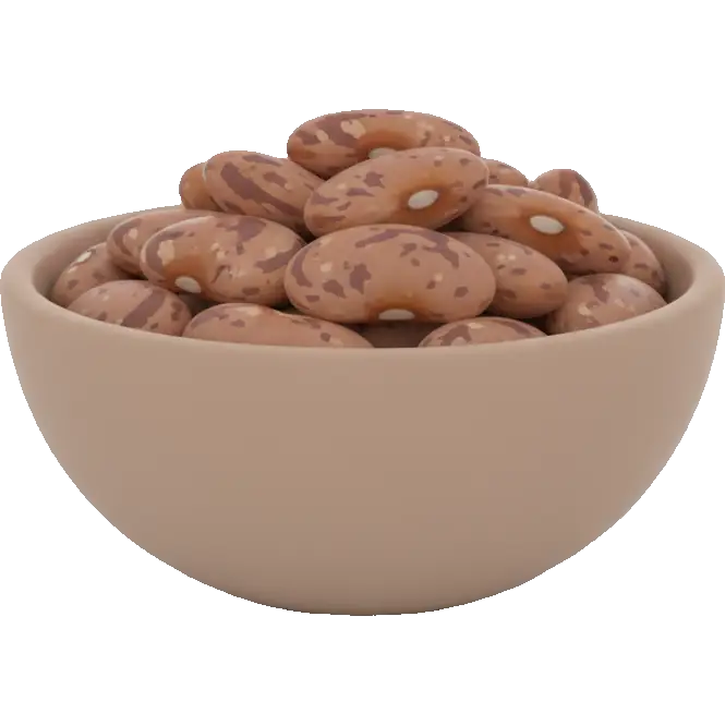 pinto beans