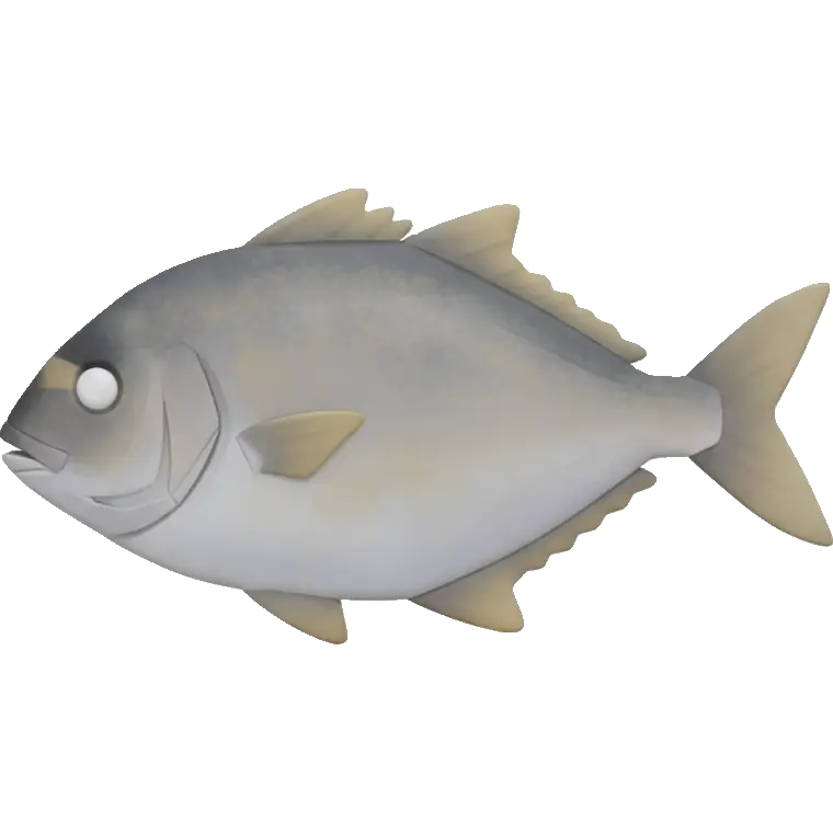 pompano