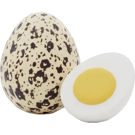 quail egg