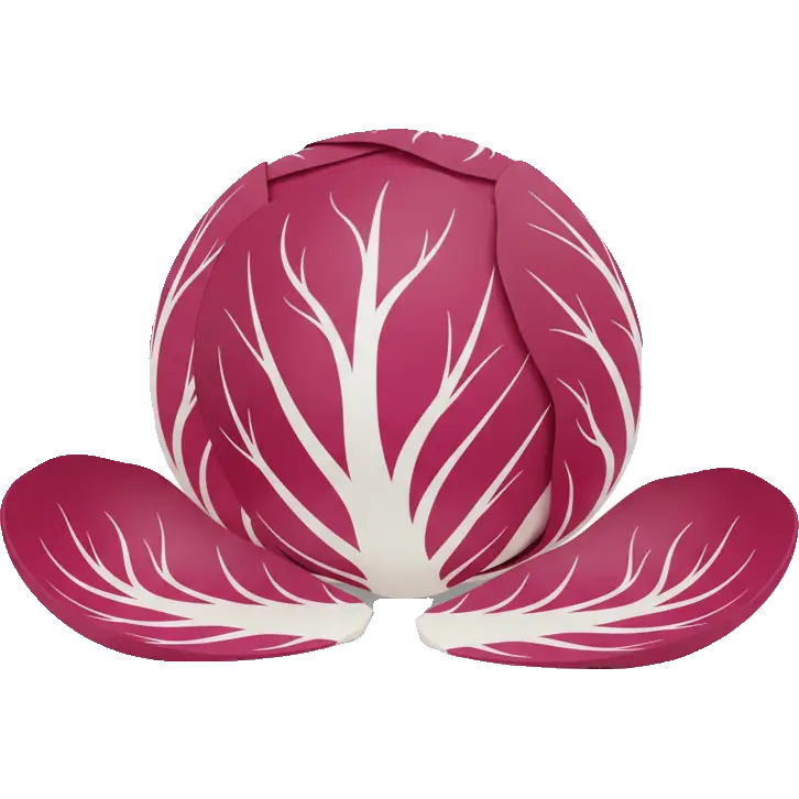 radicchio leaves