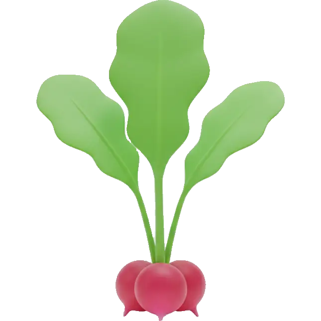 radish greens