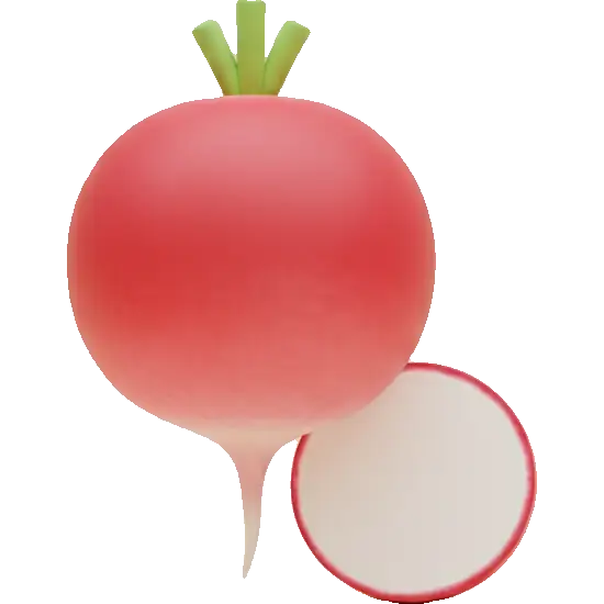radish
