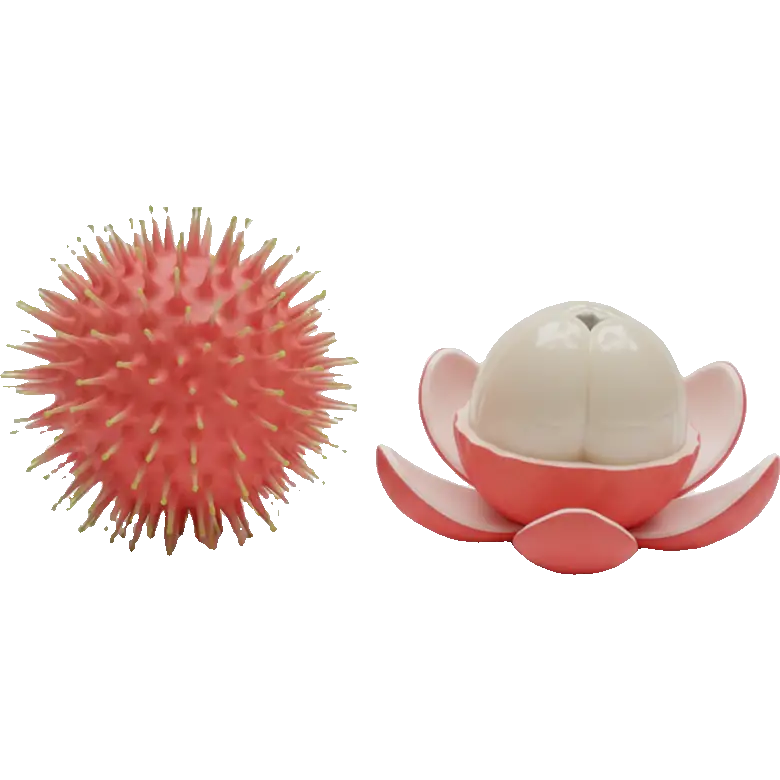 rambutan