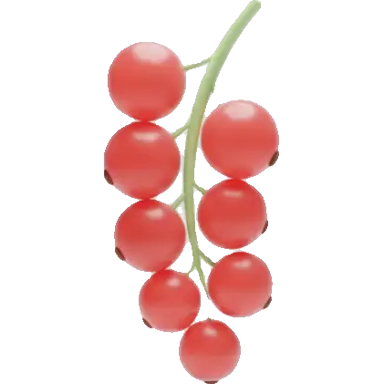 red currant