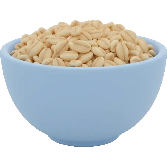 rolled barley