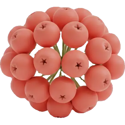 rowan berry