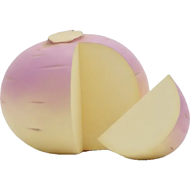 rutabaga root