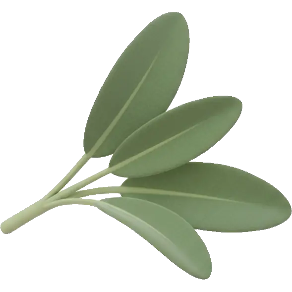 sage