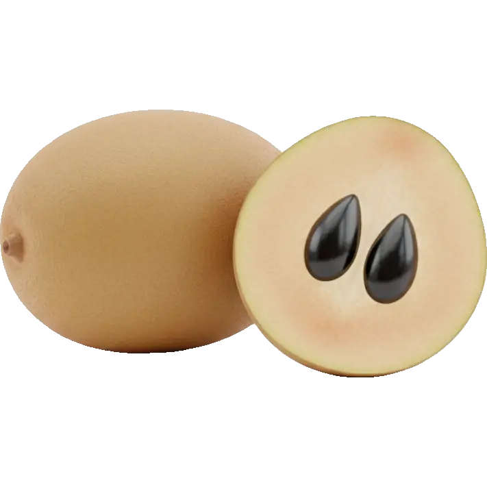 sapodilla