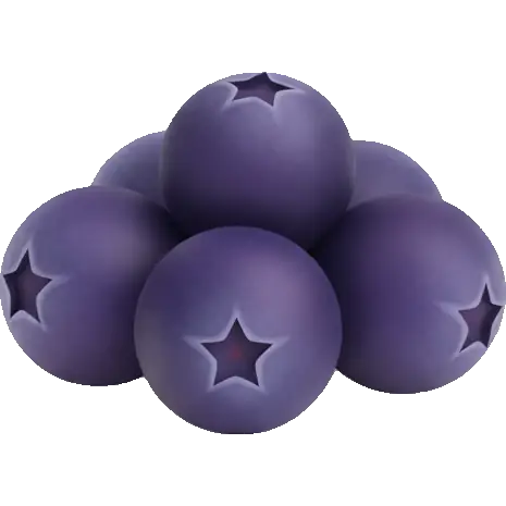 saskatoon berry