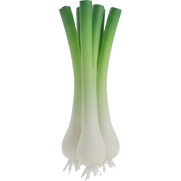 scallions