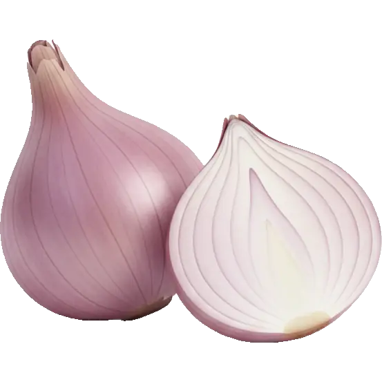 shallot