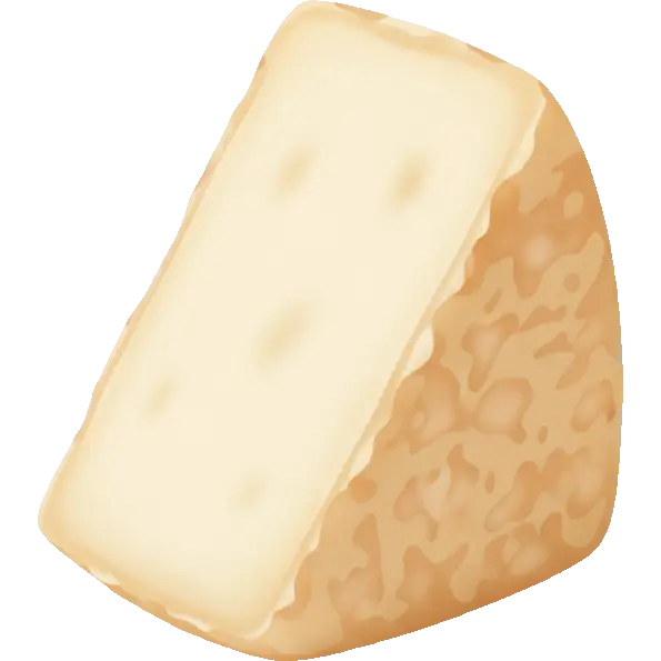 sheep cheese