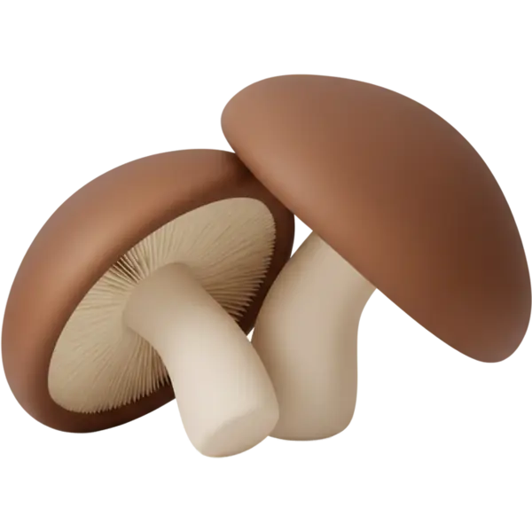 shiitake mushroom