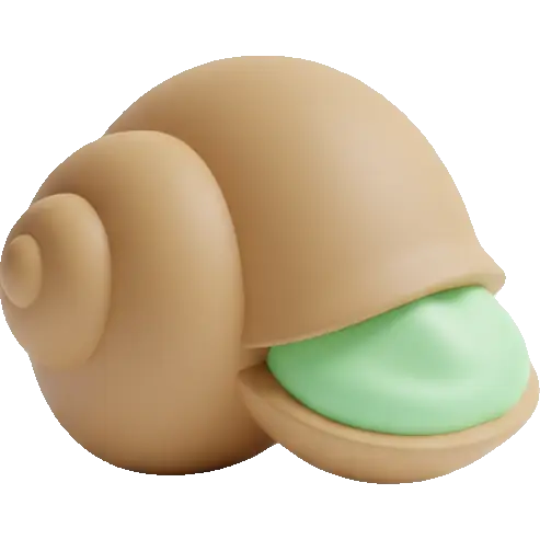 snail