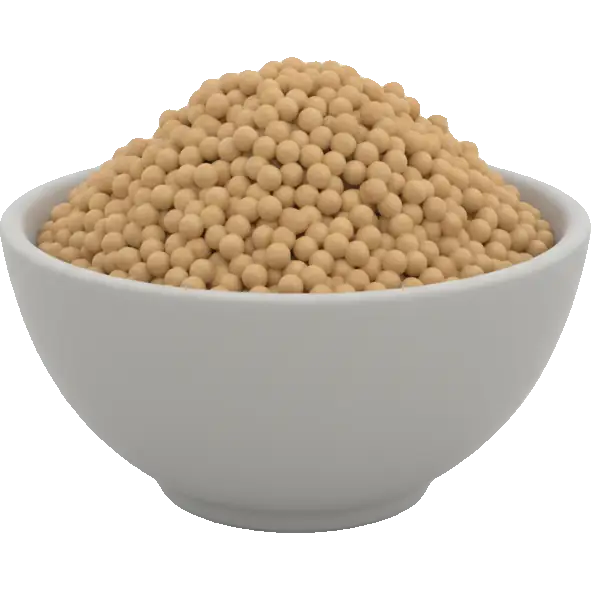 sorghum