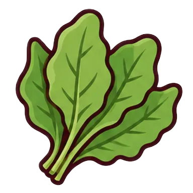 sorrel