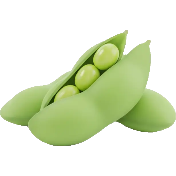 soy beans