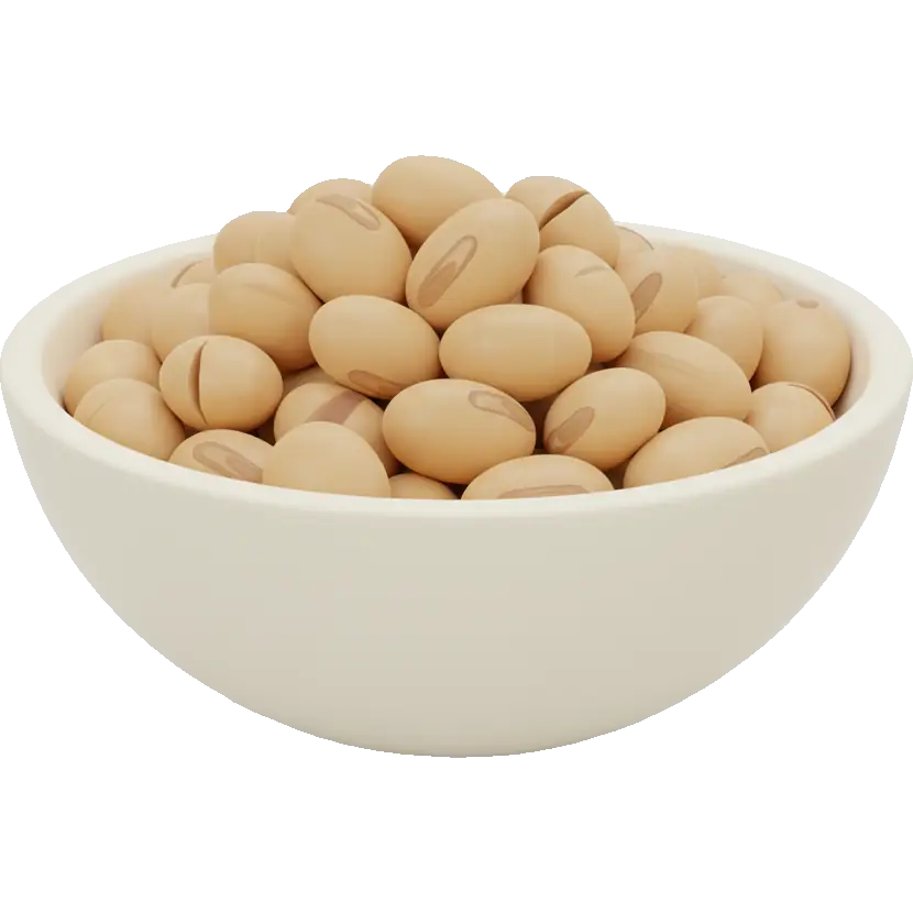 soy nuts
