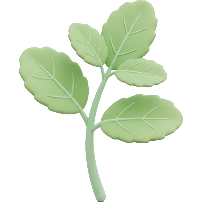 stevia leaf