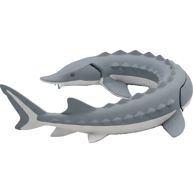 sturgeon