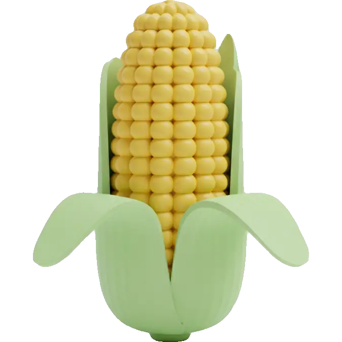 sweet corn