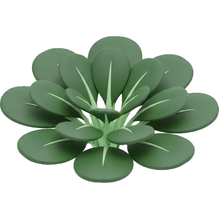 tatsoi