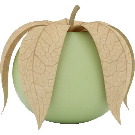 tomatillo