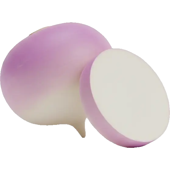 turnip root