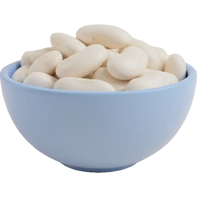 white or navy beans