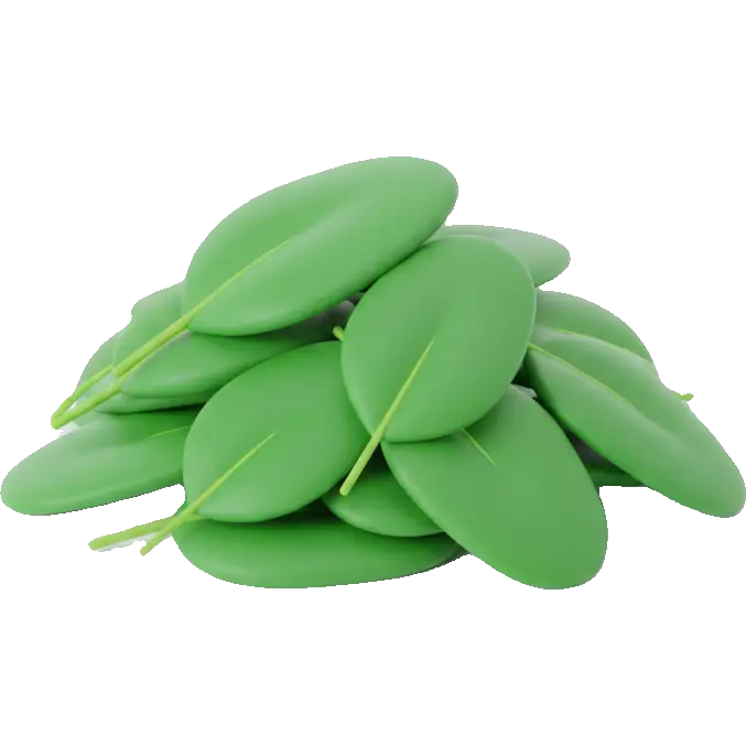 young spinach