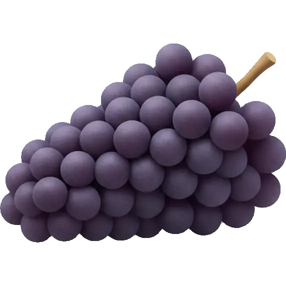 zinfandel grape